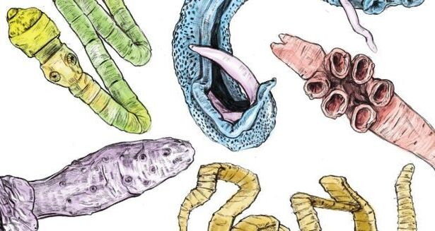Parasiten im menschlichen Körper